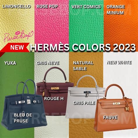 hermes birkin colour|Hermes colors worth money.